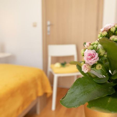 דוברובניק Apartment Nik - Cosy And Stylish מראה חיצוני תמונה